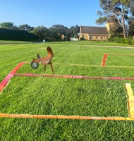 A green field with a red art exhibit