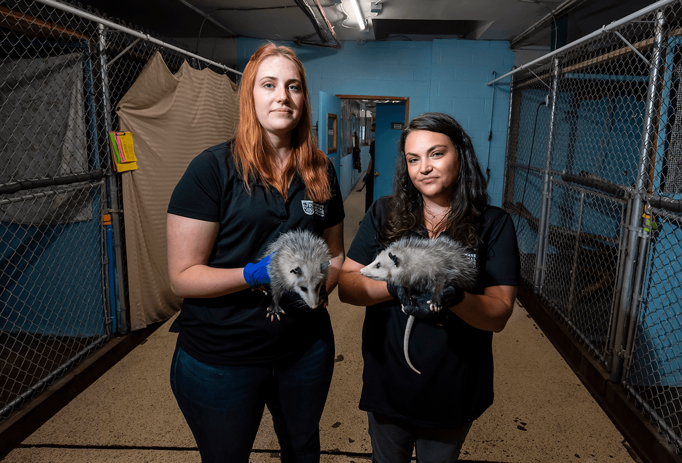 Two women, one taller than other, stand in area lined in chain-link fencing, and each hold a Virginia opossum.