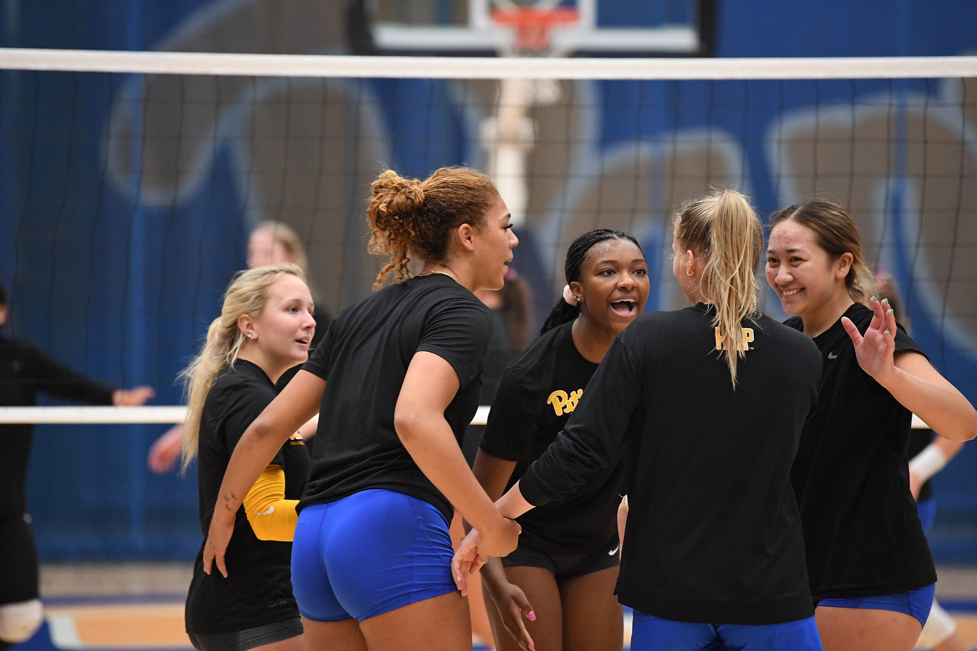 Volleyball players huddle in front of the net