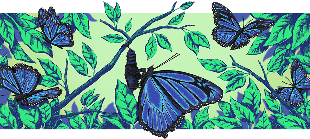 illustration of blue butterflies among green leaves