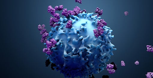 An artist's rendering of the immune system fighting a cancer cell