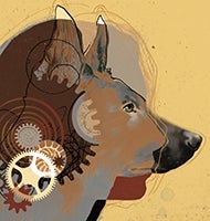 Illustration of dog thinking