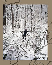 The cover of photography book Laurel Mountain Laurel