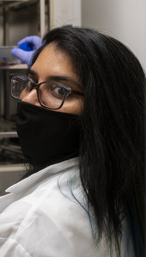 south Asian woman wears dark mask, glasses, white lab coat and latex gloves in lab