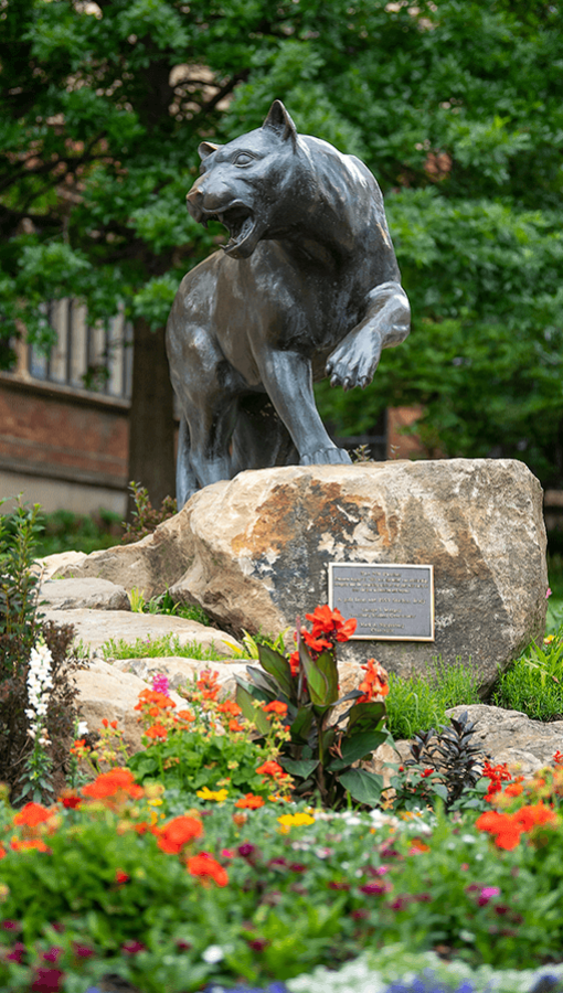 Panther statue with orange, yellow, pink, red, purple and white flowers below