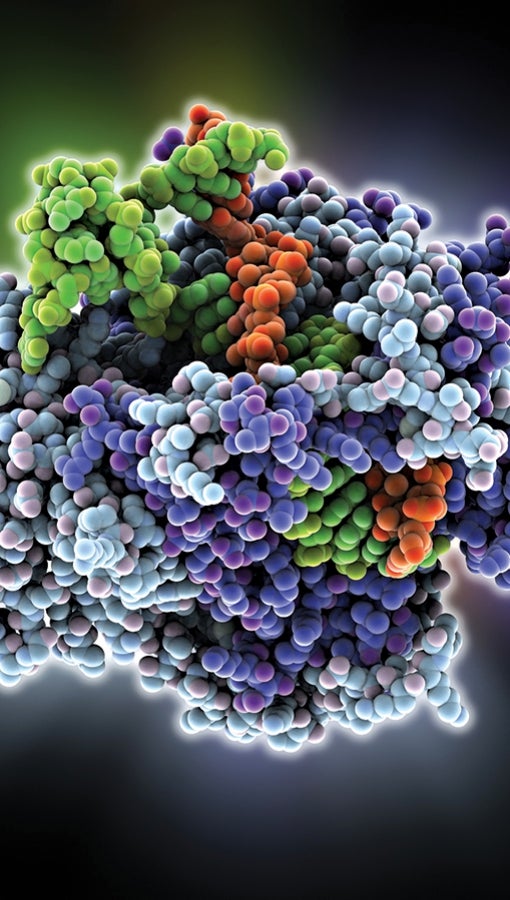 colorful molecules