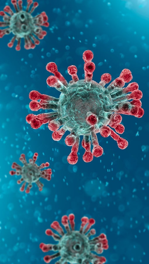 illustration of the novel coronavirus, with spike proteins readily visible