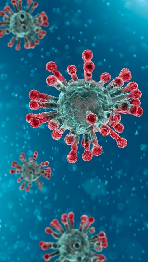 illustration of the novel coronavirus, with spike proteins readily visible