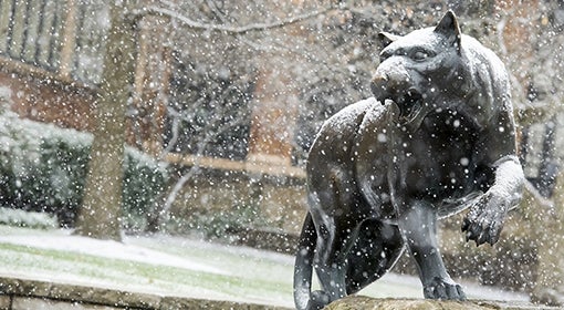 Panther statue outside of the William Pitt Union gets a dusting of snow.