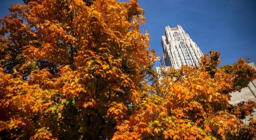 The Cathedral of Learning behind orange leaves