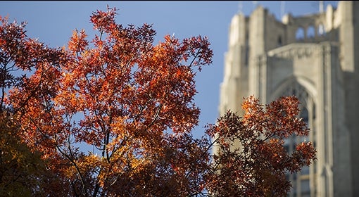 fall leaves in front of the Cathedral