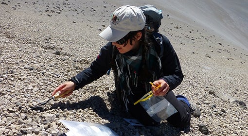 Janine Krippner collects sediment samples at volcano site.