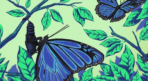 illustration of blue butterflies among green leaves