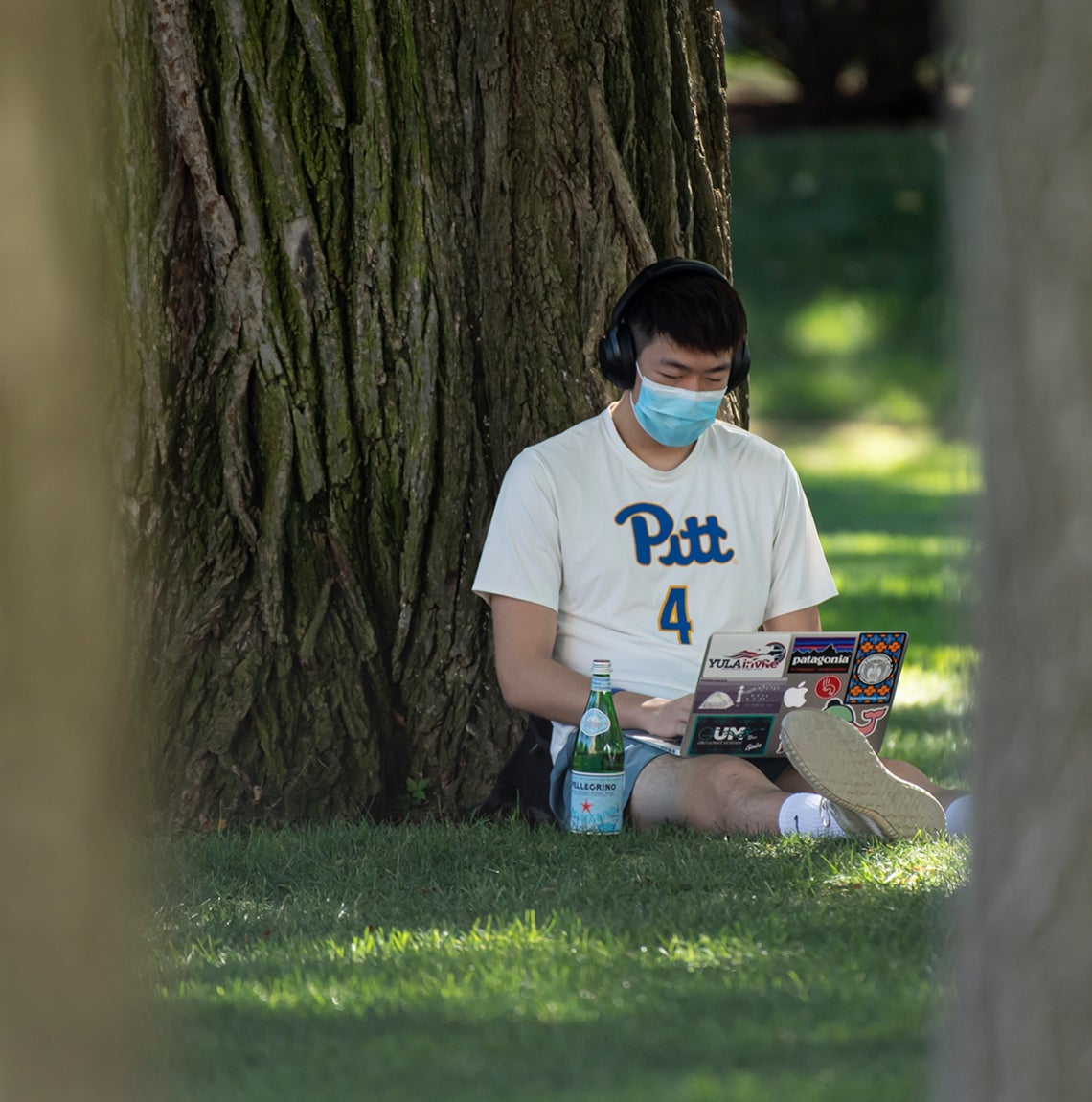 Masked student in Pitt athletic shirt sits in grass and leans against tree while working on his laptop